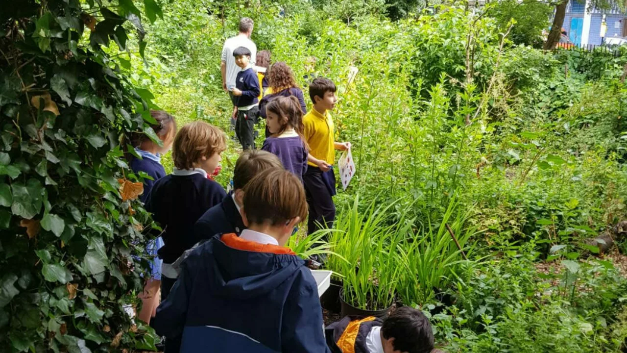 Floating Classroom Forest School - photo